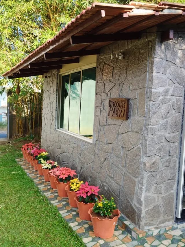 Stone-faced cottage wall with a line of flowering pots below the window