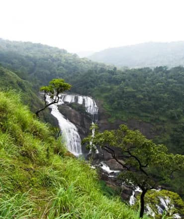 Mallalli Falls in full monsoon flow, dropping through forested rock below the Pushpagiri hills