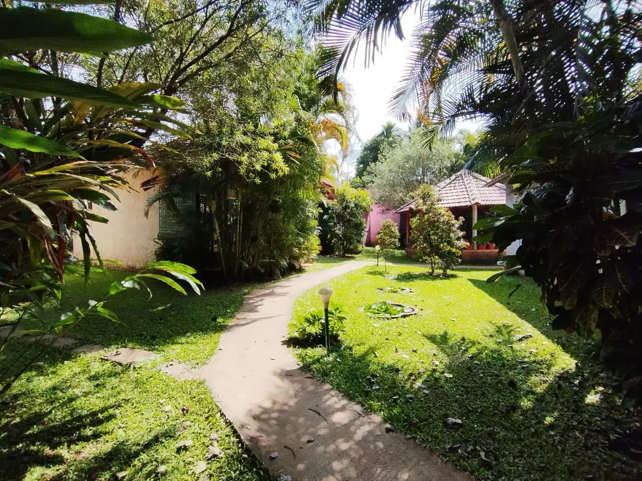 A curved path running between planted beds and cottages
