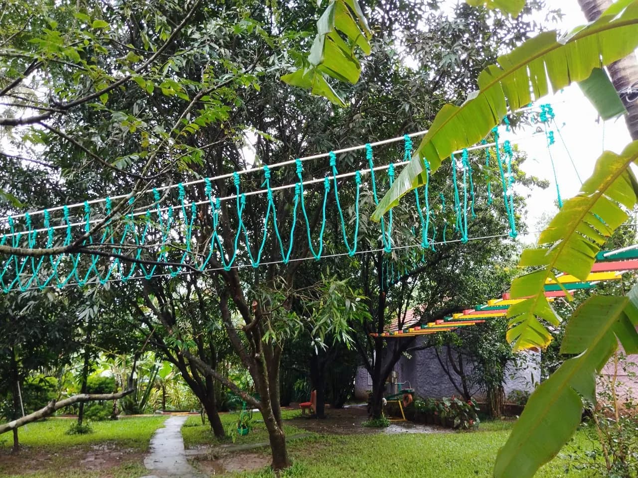 A rope bridge strung between trees across the garden