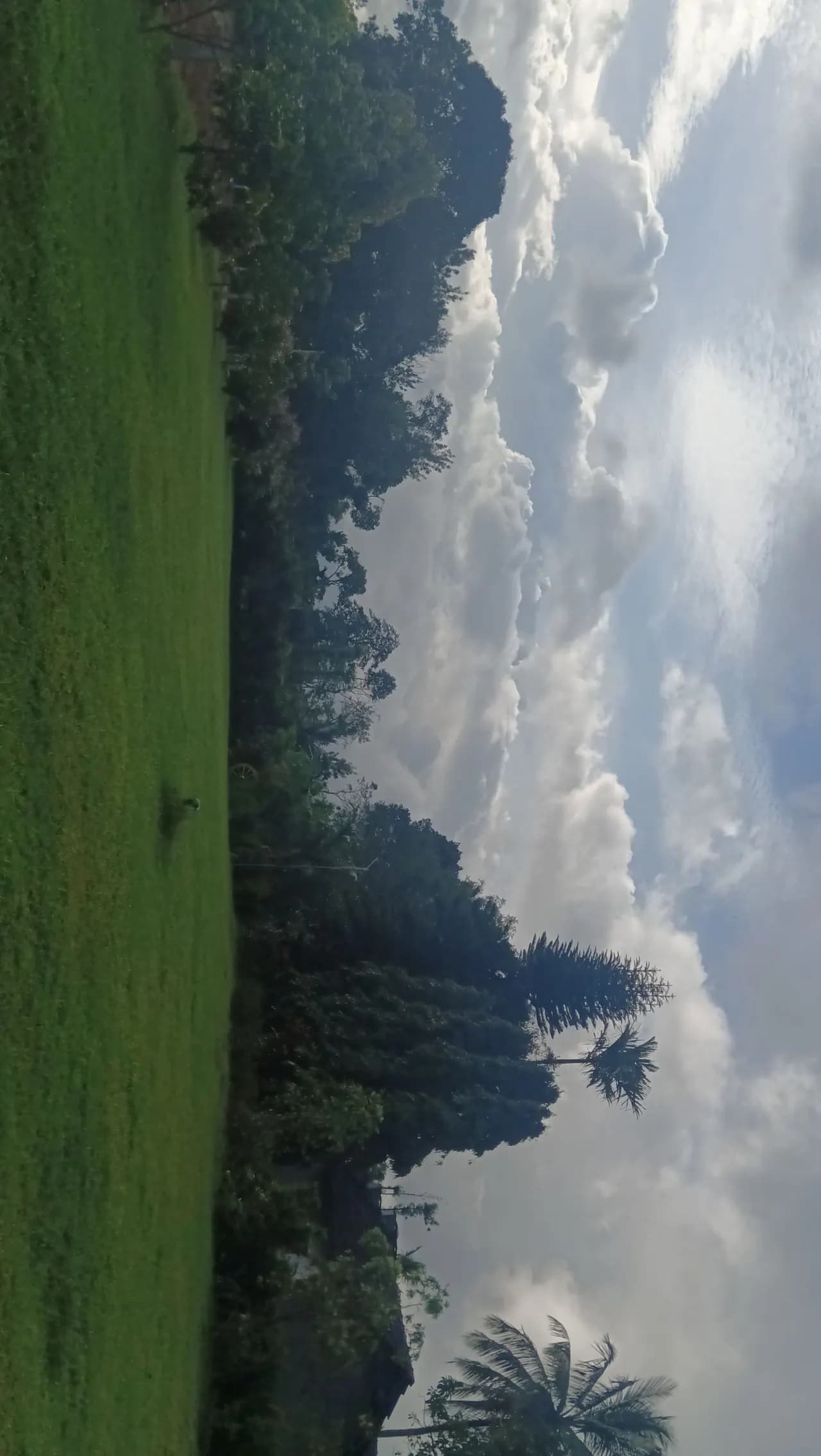 Storm cloud building over an open green field at dusk